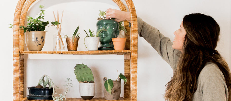 Your home isn't complete without a cactus. Here's why..