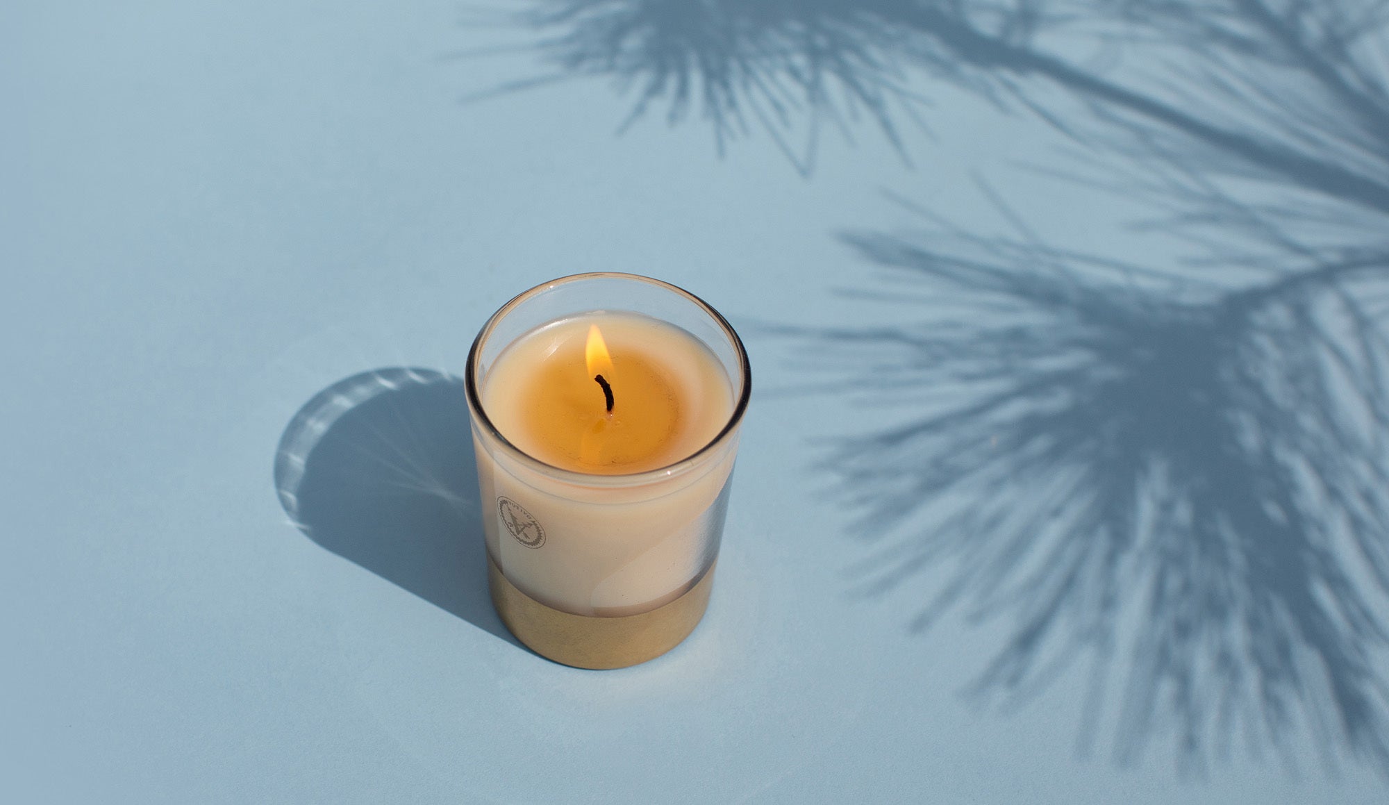 A lit white candle in a glass holder sits on a light blue surface, with shadows of pine branches cast nearby.