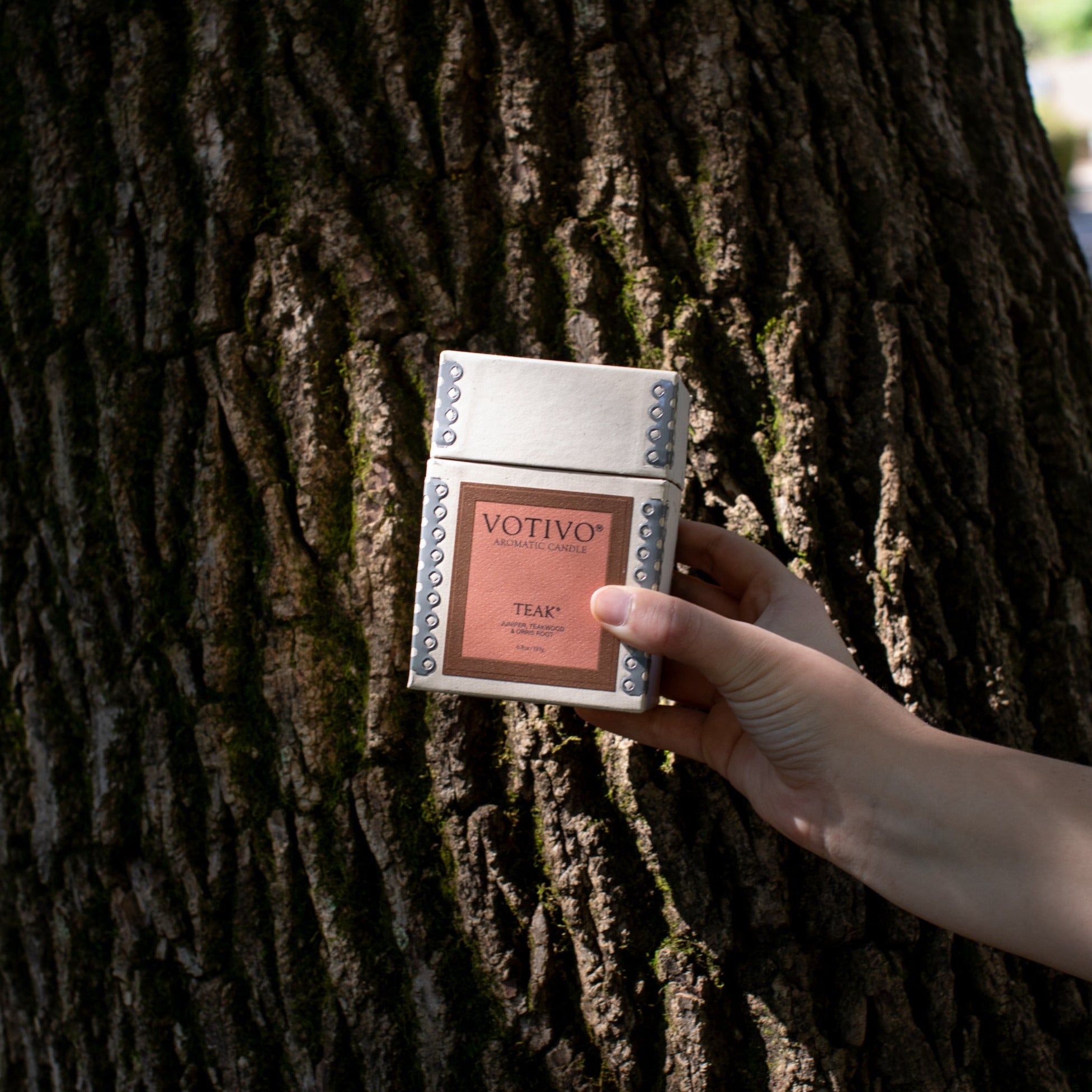 A hand holds a Votivo Teak 6.8 oz. Aromatic Candle box adorned with metallic studs against tree bark, as sunlight highlights its signature teak scent and premium soy wax blend.