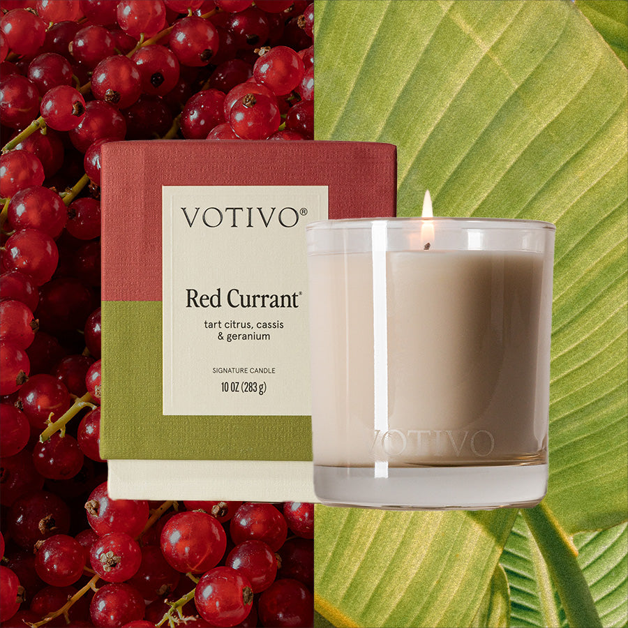 A Votivo Red Currant 10 oz. Signature Candle and its box are shown with fresh red currants and a green leaf in the background, emphasizing the candle’s natural scent and premium soy blend wax.