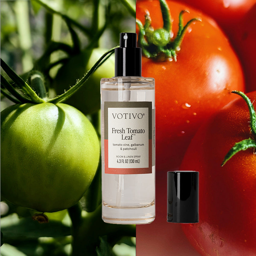A Votivo Fresh Tomato Leaf Room & Linen Spray is centered between a close-up of a green tomato on the vine (left) and ripe red tomatoes (right), with its bottle cap positioned nearby.