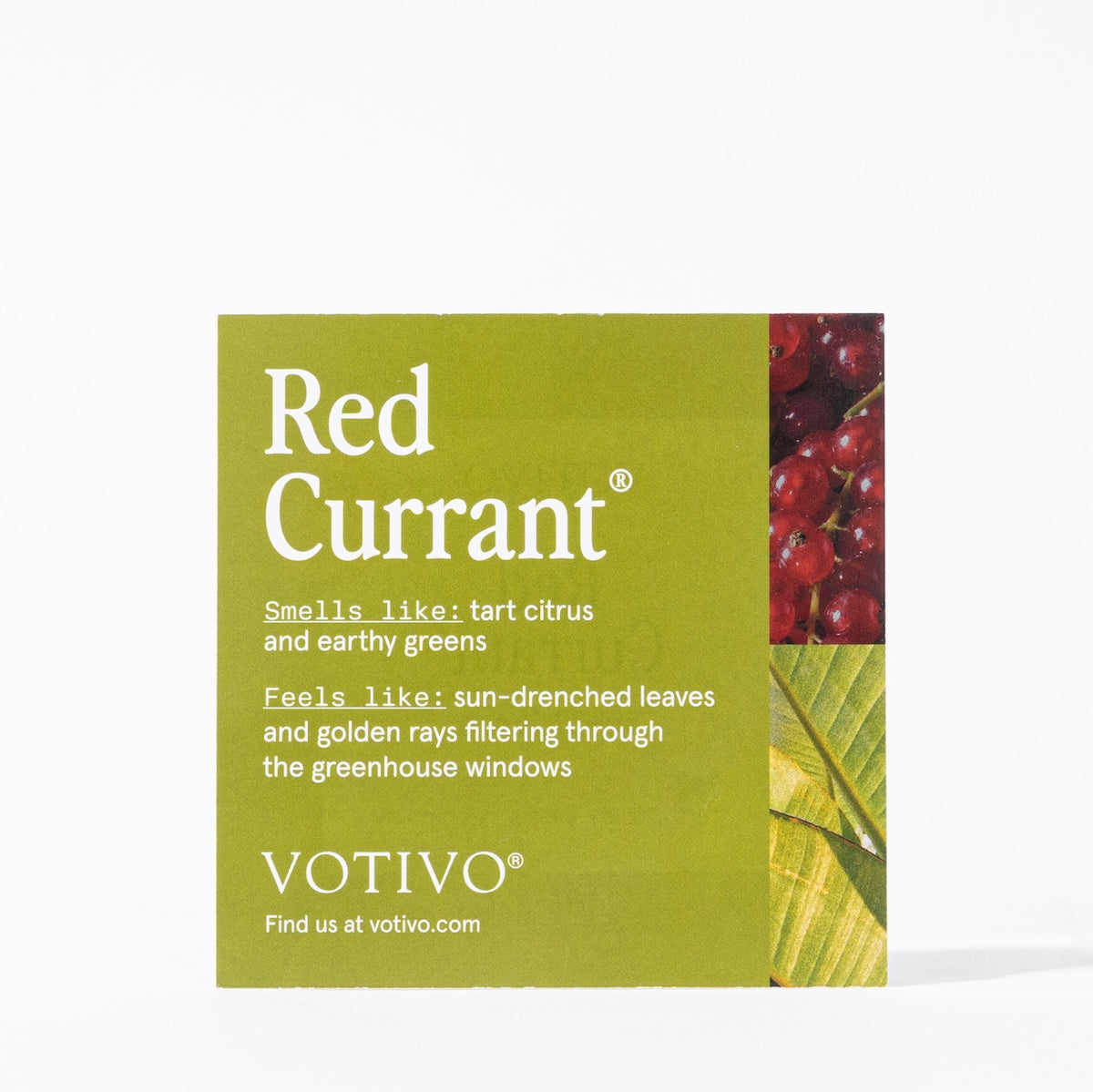 A square Fragrance Sample Kit label by Votivo features Red Currant in large white text on green, with a photo of red currants top right. Descriptions highlight citrus, earthy greens, sunlit leaves & golden rays. VT900. Package weight: 0.1 lb.