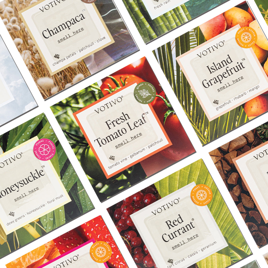 An overhead view of the Votivo Sample Kit by Votivo, featuring sachets with fragrances like Champaca and Red Currant (VT900), arranged diagonally. Sold as a set of 1; package weight is 0.1 pounds.