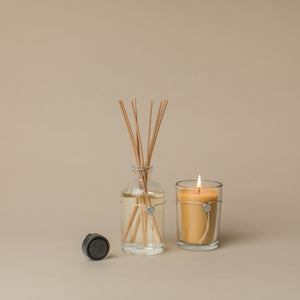 Starter Bundle - Aromatic Candle, Aromatic Reed Diffuser & Auto Fragrance - Pink Mimosa