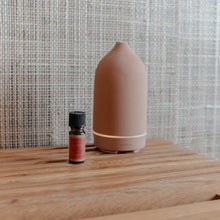 Load image into Gallery viewer, Diffuser Oil-Red Currant