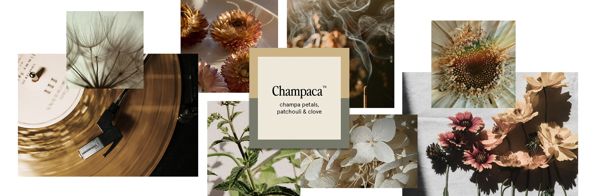 Champaca