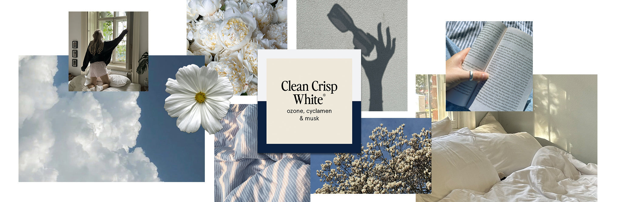 Clean Crisp White