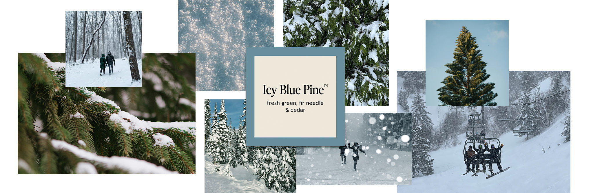 A collage of snowy forests, evergreen pine trees, people skiing, and riding a ski lift, centered around a label that reads: Icy Blue Pine—fresh green, fir needle & cedar.