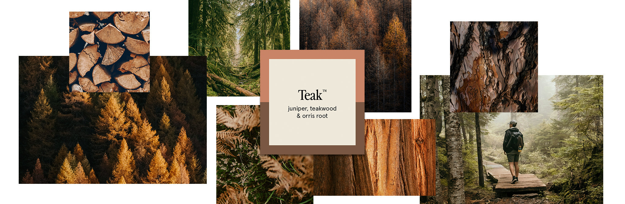 Teak