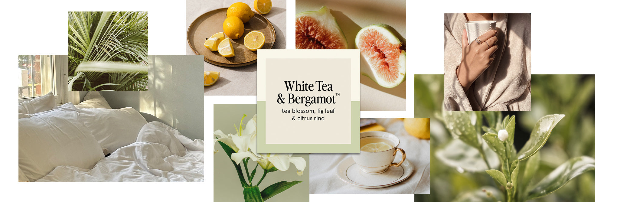 White Tea & Bergamot
