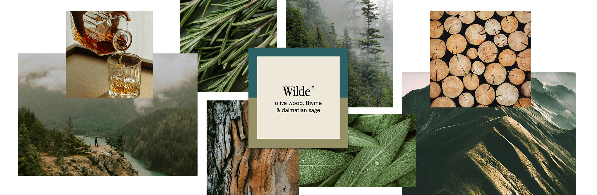 Wilde