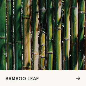 2.8 oz Aromatic Jar Candle - Bamboo Leaf