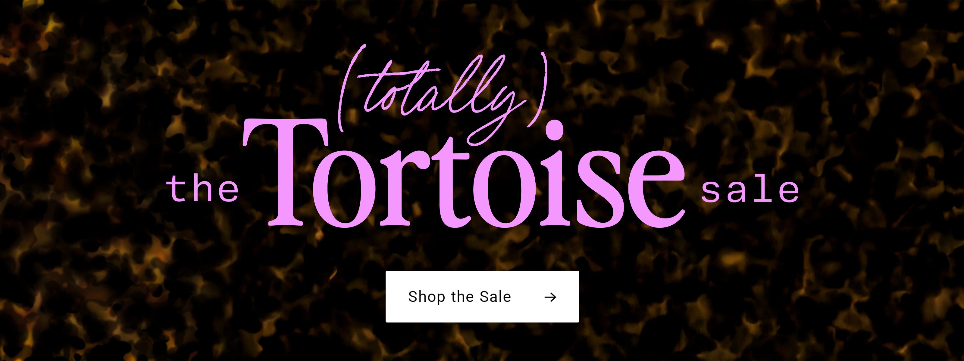 the totally tortoise sale