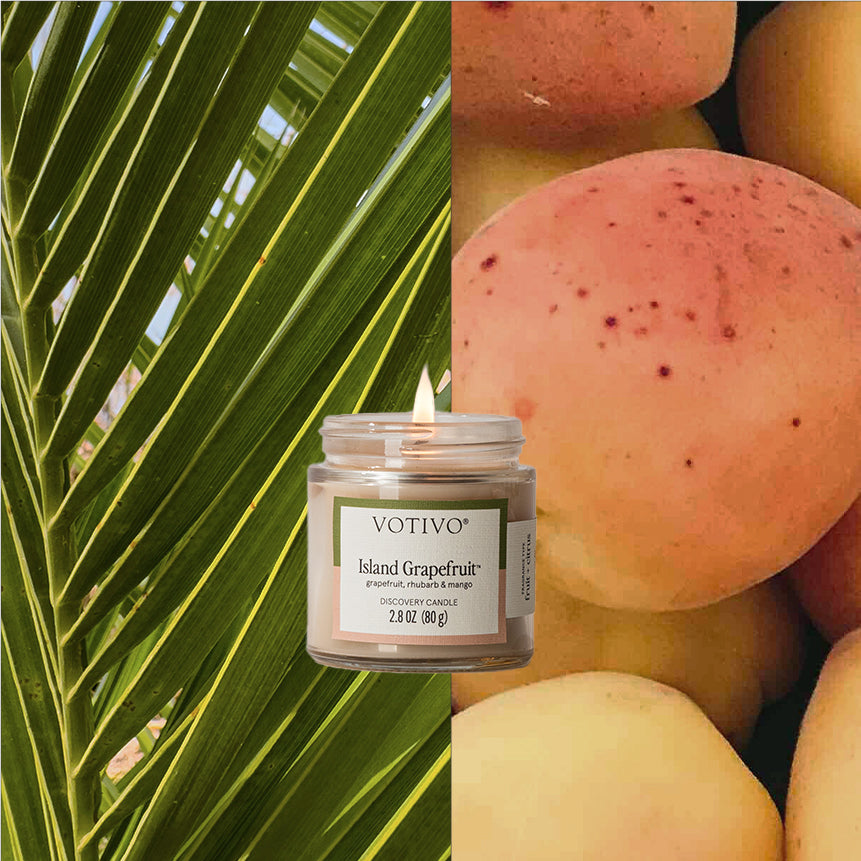 Island Grapefruit Discovery Candle