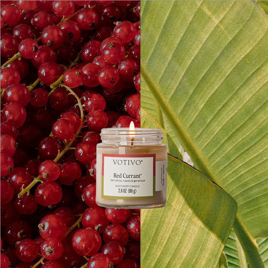 Red Currant Discovery Candle