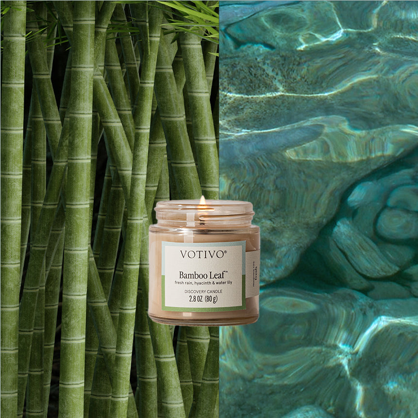 Bamboo Leaf Discovery Candle