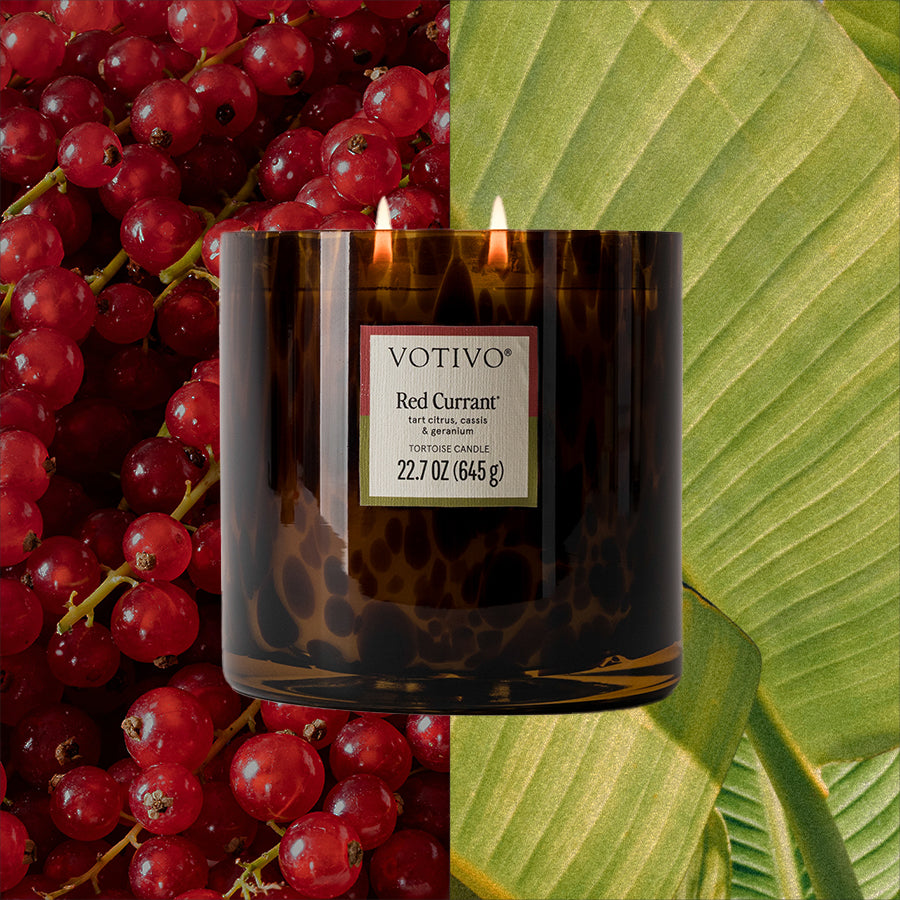 Red Currant Tortoise Candle