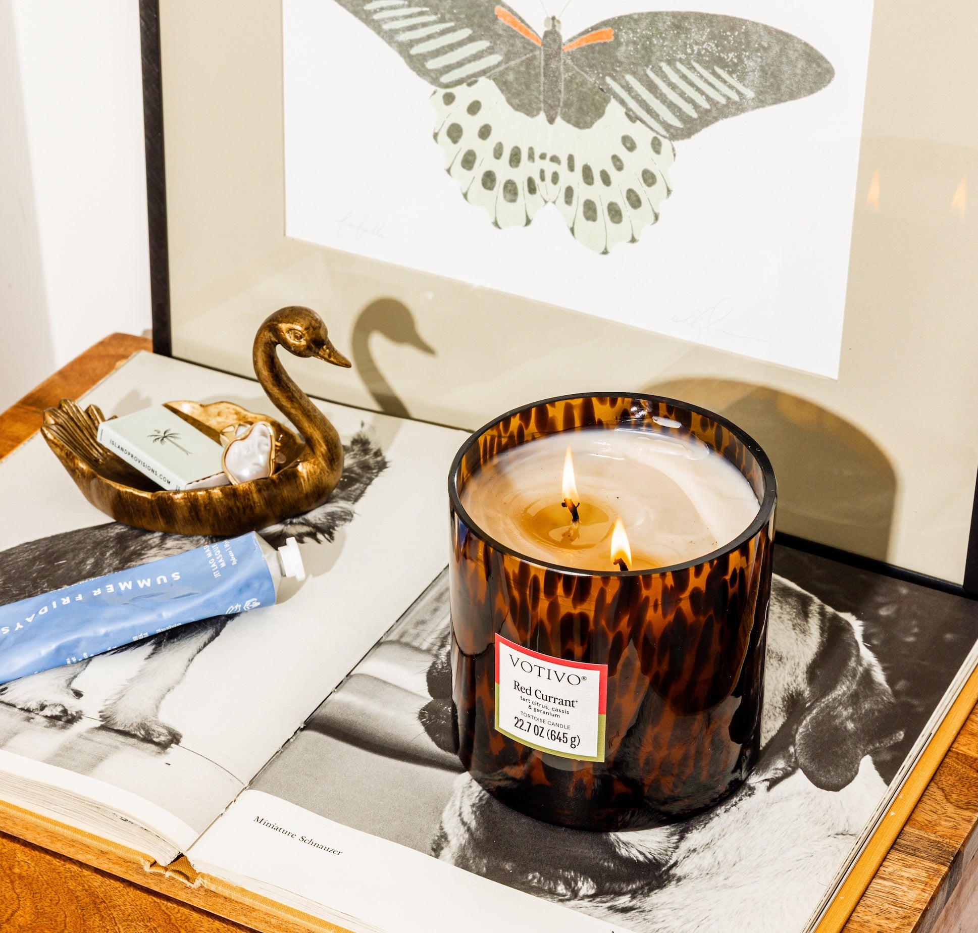 Red Currant Tortoise Candle