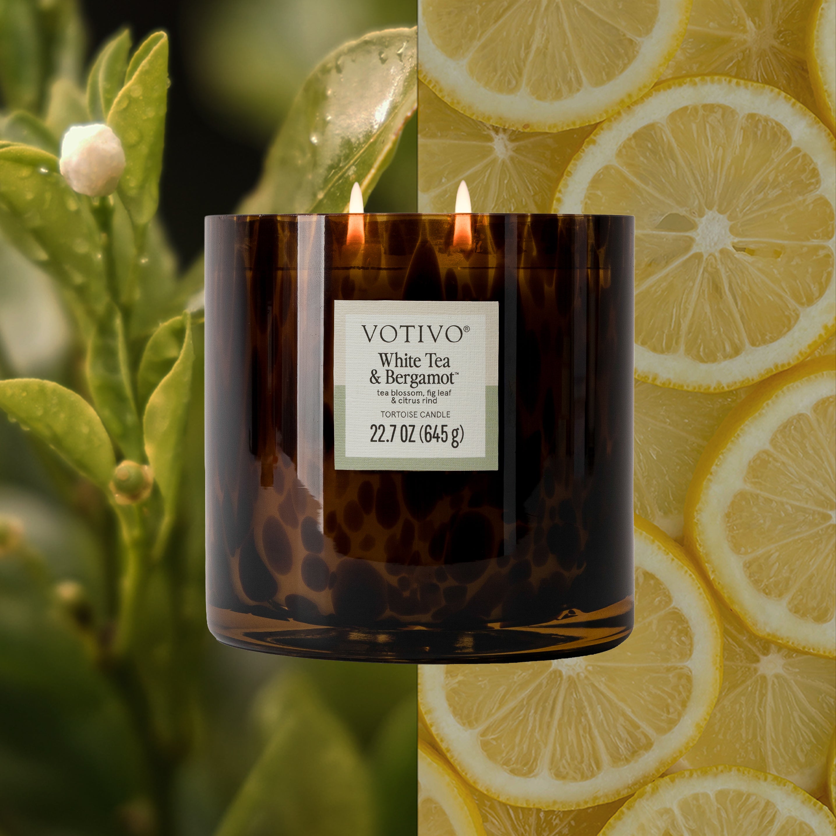 A lit Votivo White Tea & Bergamot Tortoise Candle sits in a dark glass jar, centered between fresh green leaves with white buds on the left and sliced lemons on the right, emphasizing its inviting soy blend wax.