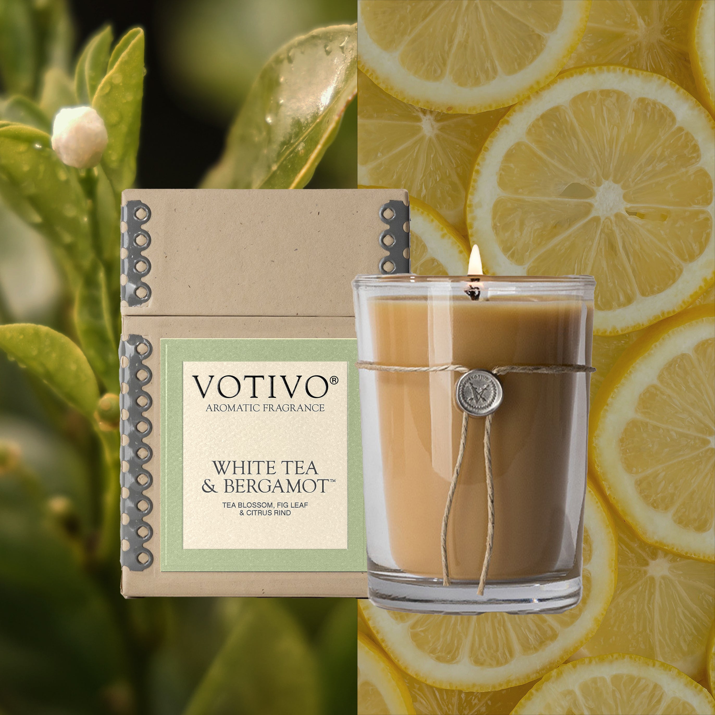 White Tea & Bergamot 6.8 oz Aromatic Candle