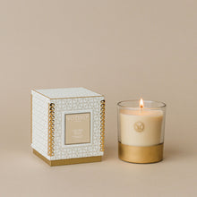 Load image into Gallery viewer, Holiday 10oz Candle-Gilded Pear