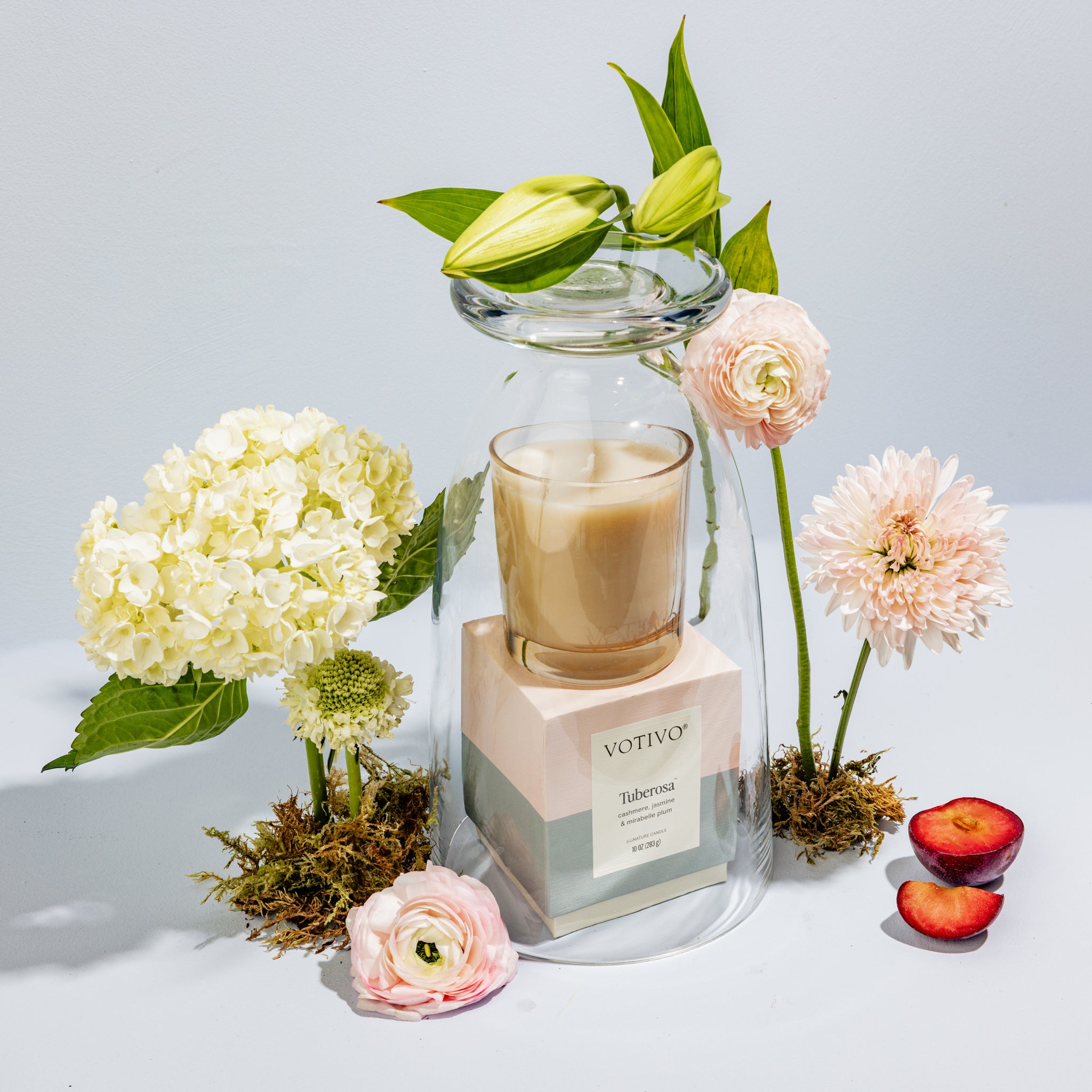 A Votivo Tuberosa 10 oz. Signature Candle rests on a pink box under a glass cloche, surrounded by hydrangea, ranunculus, lilies, moss, and plum halves, all beautifully arranged on a light surface with a pale background.