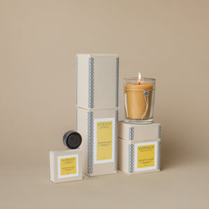 Starter Bundle - Aromatic Candle, Aromatic Reed Diffuser & Auto Fragrance - Honeysuckle