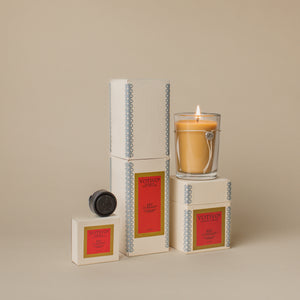Starter Bundle - Aromatic Candle, Aromatic Reed Diffuser & Auto Fragrance - Red Currant