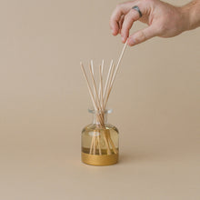 Load image into Gallery viewer, Holiday Reed Diffuser-Red Currant